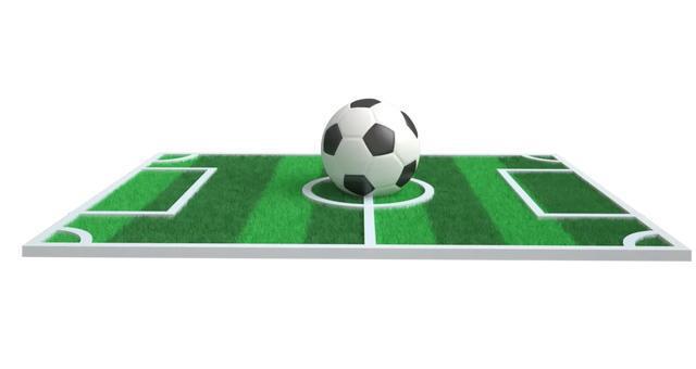 Kaiyun体育网站：燃烧你的卡路里宝山区体育场地情况您了解吗？(图6)