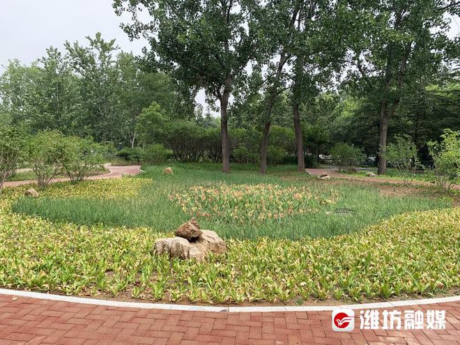 海绵城市建设“潍坊路径”探索形成(图2)