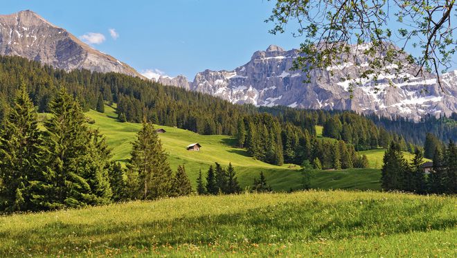 心态心态一直是（此外无价）(图2)