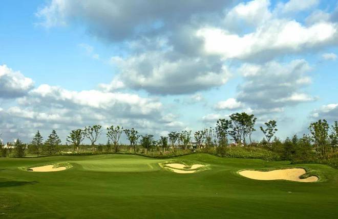 联仲都悦汇(闵行)2024网站-联仲都悦汇最新房价-欢迎您(图16)