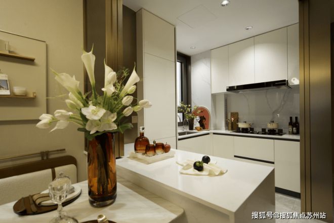 Kaiyun（中国体育）：中环桃源里在售_房型图_户型图_小区绿化_交通地铁_楼盘规划(图1)