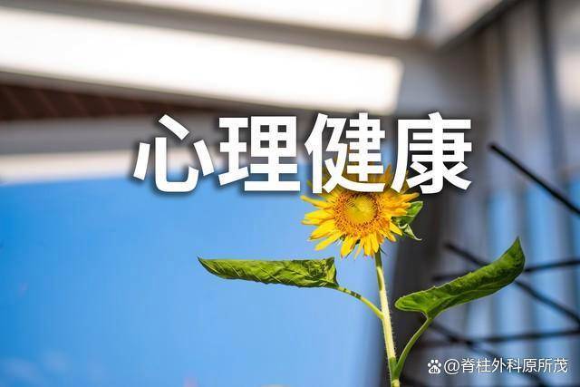 比走路还简单的“长寿法宝”气血通畅病不找健脑抗衰过百岁(图2)