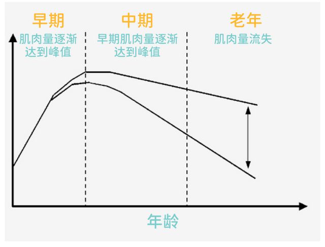 比跑步好坚持比游泳省事！这运动超适合35+妈妈燃脂塑形增肌(图6)