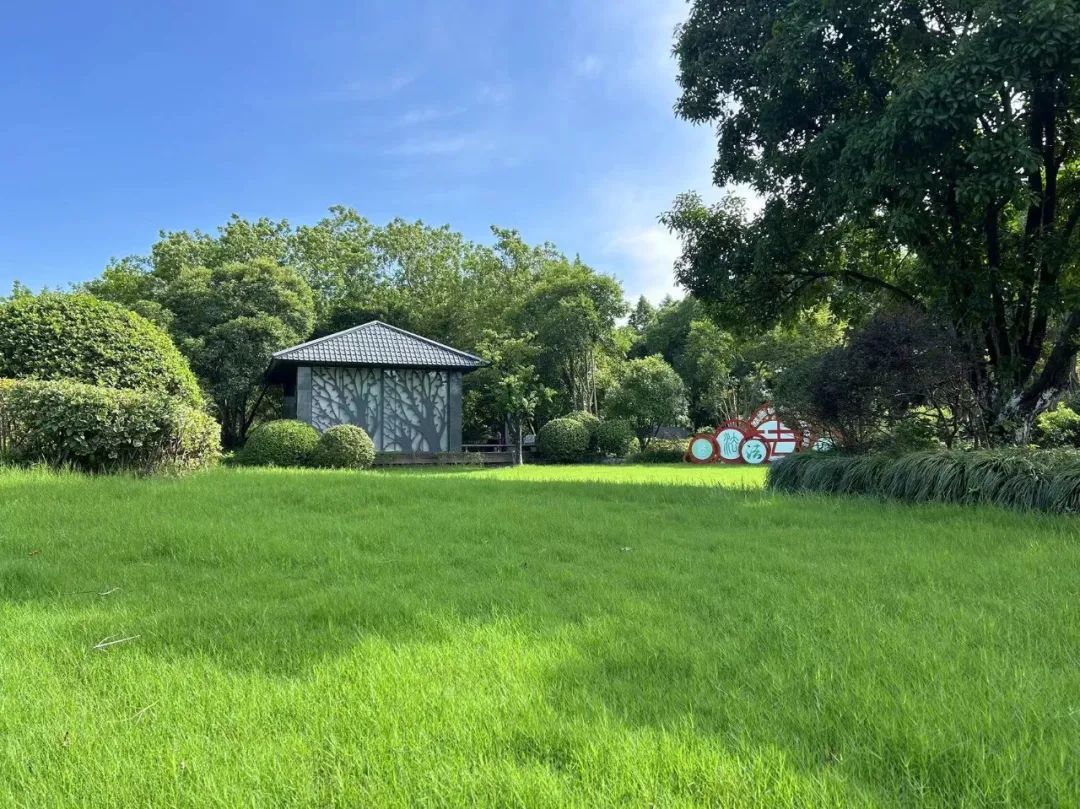 Kaiyun（中国体育）：给自己的世界按下治愈键！一起来逛逛嘉定这3座特色公园吧(图2)