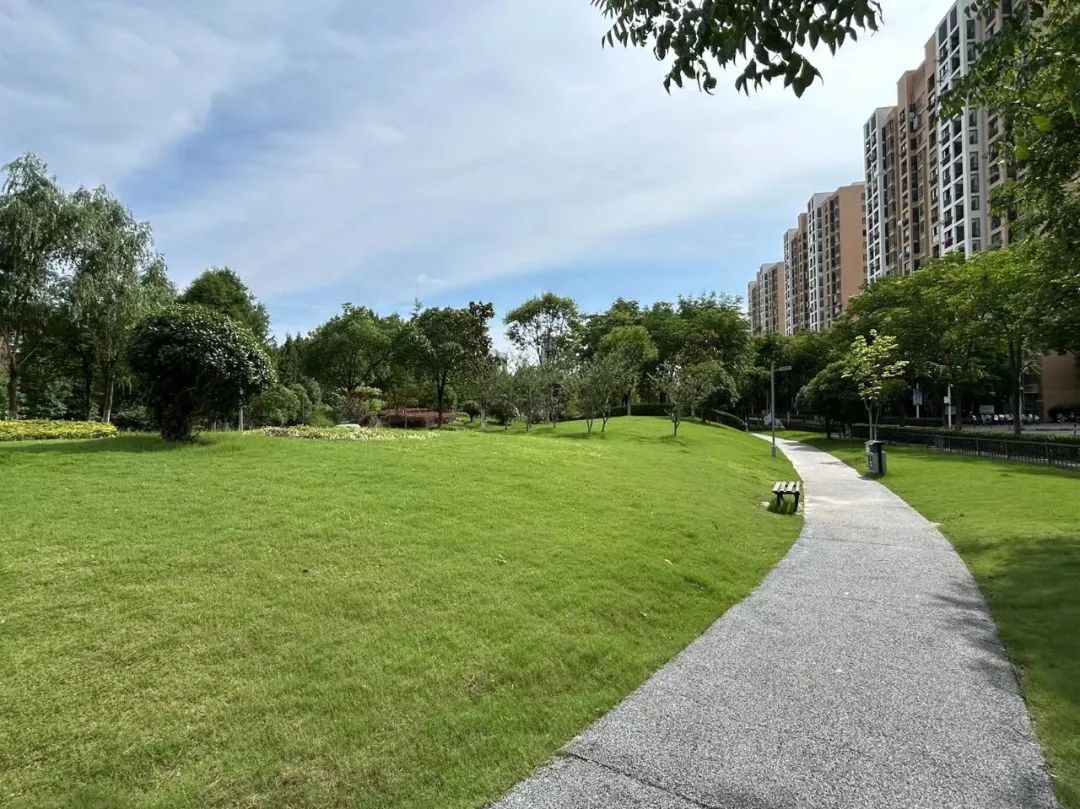 Kaiyun（中国体育）：给自己的世界按下治愈键！一起来逛逛嘉定这3座特色公园吧(图3)