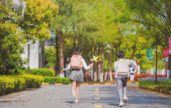 通知)恒兴御景园附近有什么小学和中学学区有什么学校？(图17)