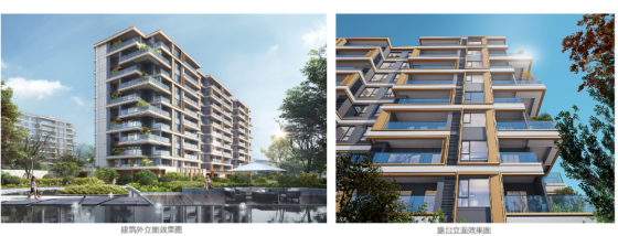 金地坚守金质匠心在“产品力赛道”加速跑(图4)