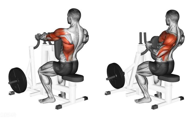 Kaiyun（中国体育）：6个黄金健身法则让你增长更多肌肉(图3)