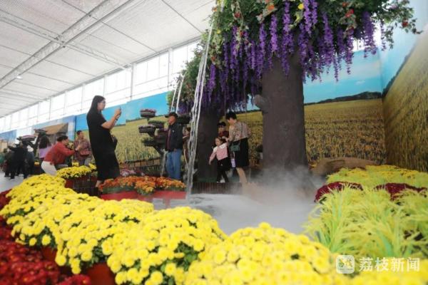 从一场运动会开幕式看南京江宁如何走好“文体旅”融合一盘棋(图6)