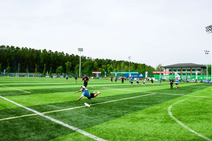 “大运之城”成都成华区：“体育+”推动体育事业高质量发展(图2)