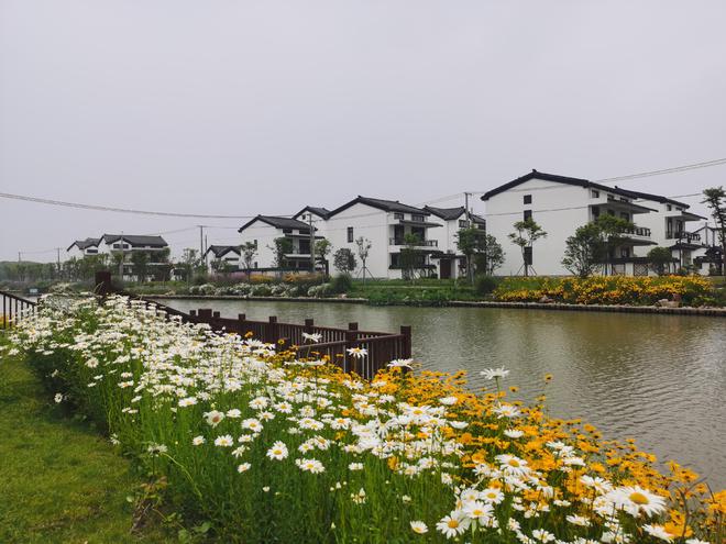 Kaiyun（中国体育）：绿意盎然浦江镇绽放园林之美(图3)