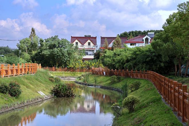 Kaiyun（中国体育）：绿意盎然浦江镇绽放园林之美(图4)