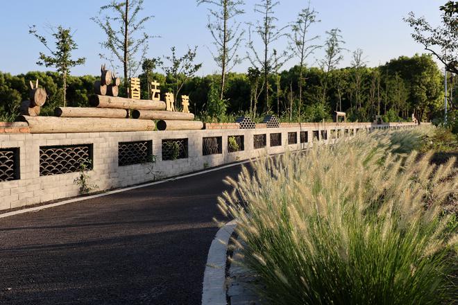 Kaiyun（中国体育）：绿意盎然浦江镇绽放园林之美(图2)