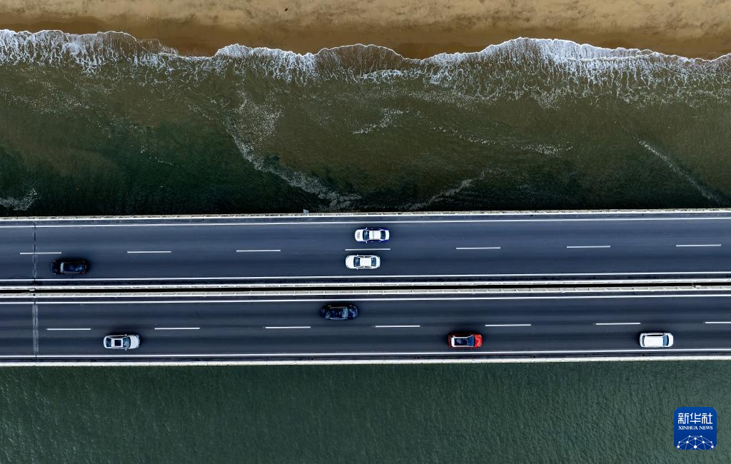 Kaiyun（中国体育）：新华全媒+·城市巡礼丨厦门：生态高颜值发展高素质(图9)