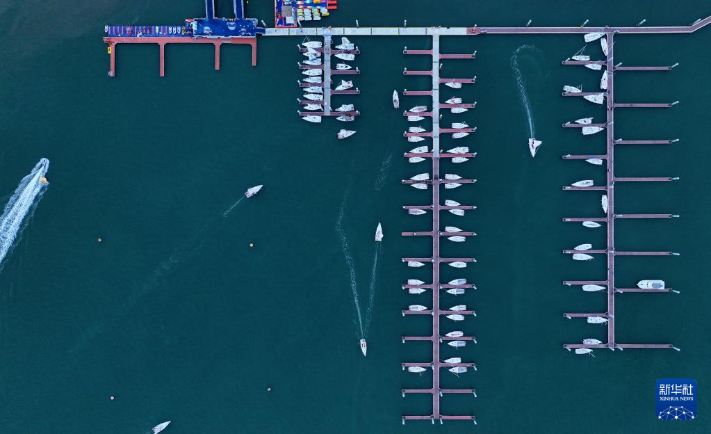 Kaiyun（中国体育）：新华全媒+·城市巡礼丨厦门：生态高颜值发展高素质(图12)