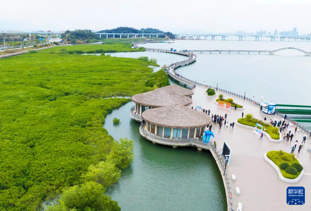 Kaiyun（中国体育）：新华全媒+·城市巡礼丨厦门：生态高颜值发展高素质(图21)