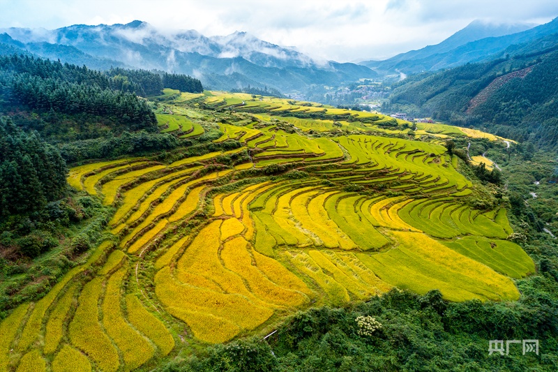 锚定现代化改革再深化｜清远连山探索“三地活化”激活乡村“沉睡”资源(图1)