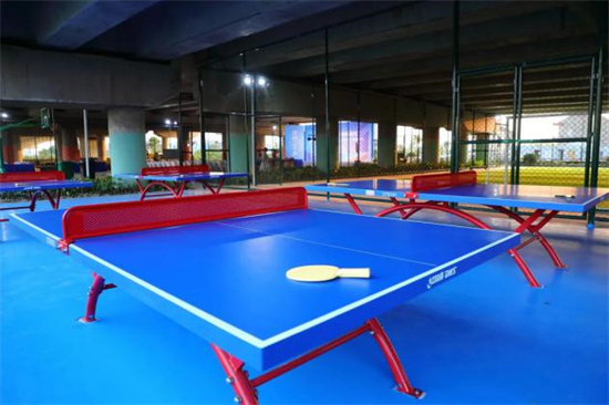 Kaiyun体育网站：平湖林埭：又添好去处美丽城镇首个村级全民健身广场正式启用(图2)