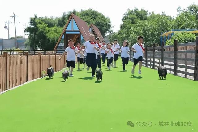 济南这场大会事关未来！(图1)