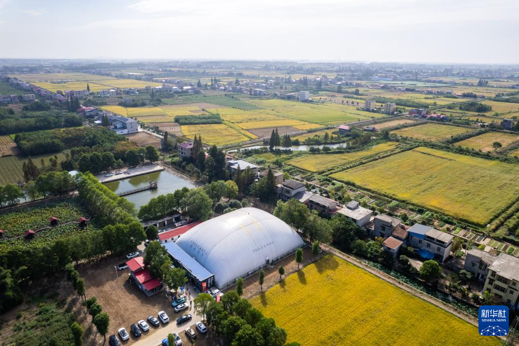 Kaiyun（中国体育）：stylecontent(图2)