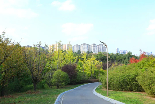 Kaiyun（中国体育）：贵州双龙航空港经济区上升！全国17个国家级临空经济示范区2023年发展指数“出炉”(图5)