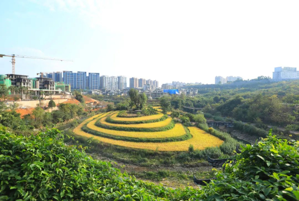 Kaiyun（中国体育）：贵州双龙航空港经济区上升！全国17个国家级临空经济示范区2023年发展指数“出炉”(图9)