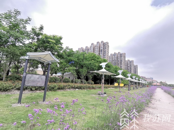 Kaiyun体育网站：盐城：安装二代智慧健身路径营造百姓家门口的幸福(图3)