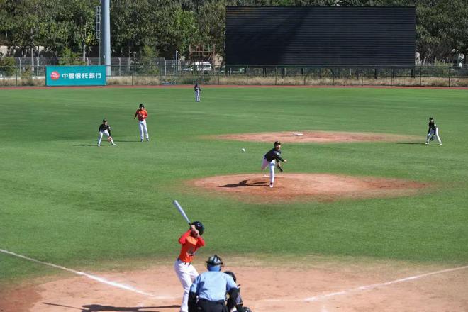Kaiyun体育网站：中国信托杯2024年全国青少年棒球联赛在金普新区开赛(图4)