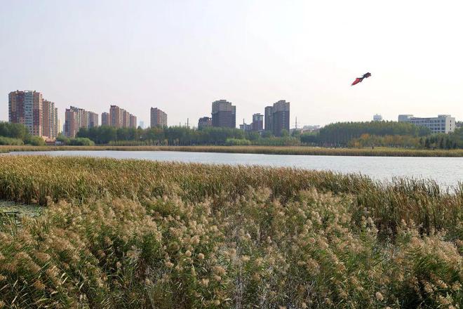 Kaiyun（中国体育）：长春又一个新公园亮相抢先看(图1)