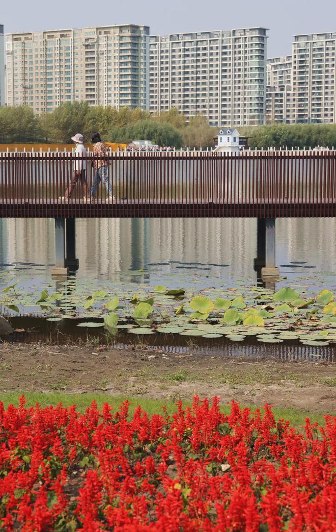 Kaiyun（中国体育）：长春又一个新公园亮相抢先看(图2)