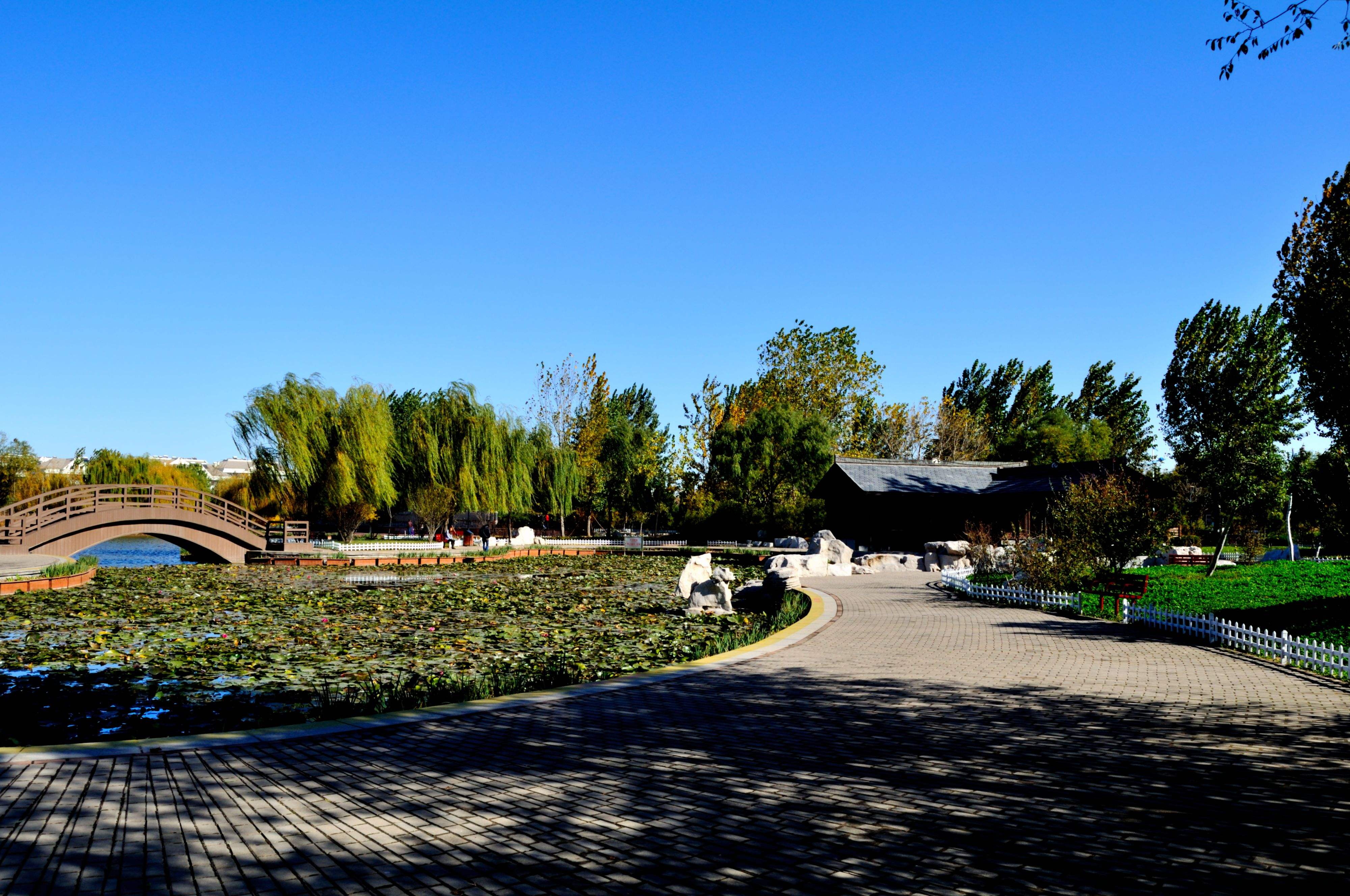 Kaiyun（中国体育）：5月昆明20个重磅事件最新出炉！625万人受益！(图4)