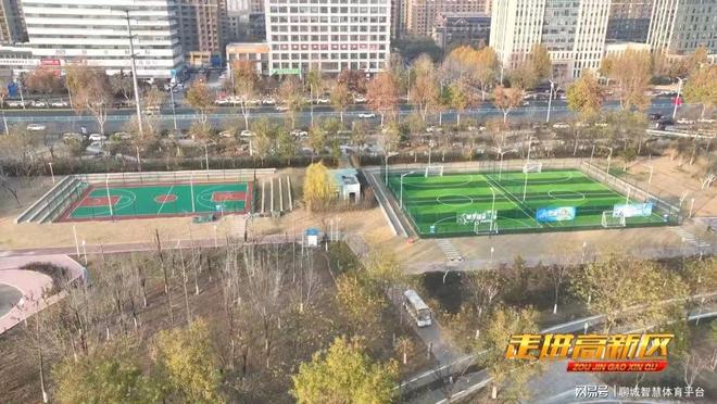 高新区体育：回顾2024展望2025(图1)