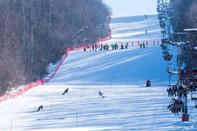 2024-2025“奔跑吧·少年”伊春青少年冰雪运动会高山滑雪比赛开赛(图1)