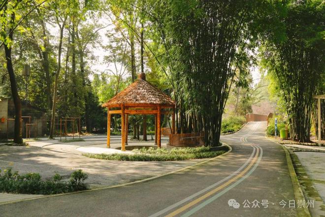 崇州限定版“天然健身房”码住收藏！(图6)