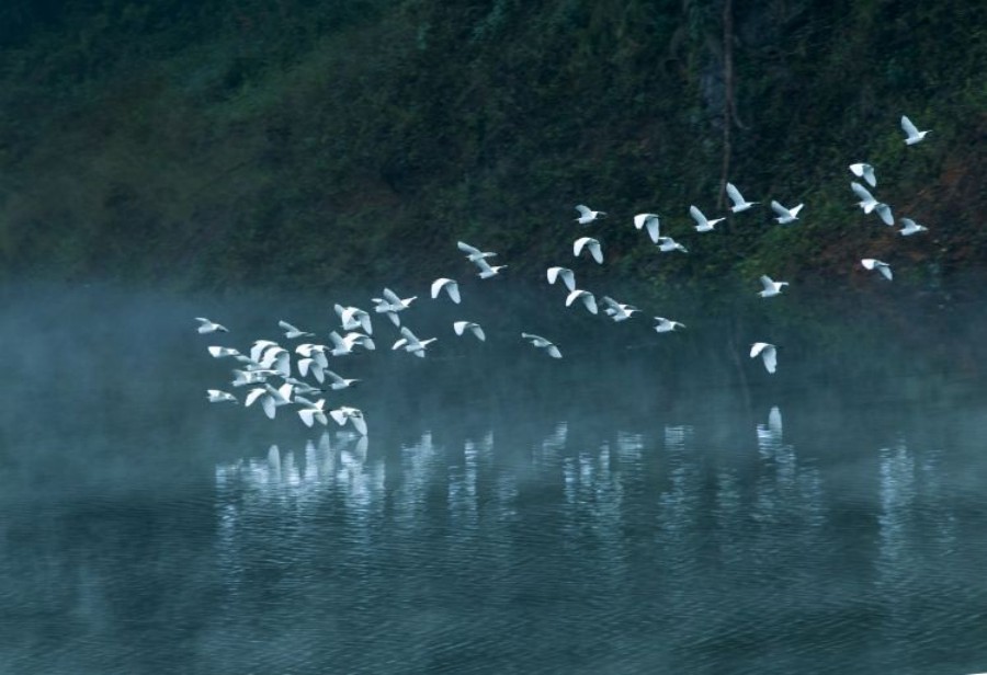 美丽河湖入画来芒市孔雀湖：群众身边的国家级旅游度假区_新华网(图1)