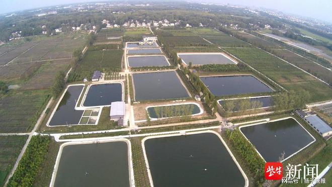 又到三八节知道吗？扬州有个远近闻名的“三八村”(图1)