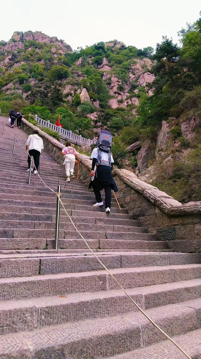 山东大学生泰山陪爬月入5位数！五一咨询量是平时两倍：已成立工作室毕业后专职陪爬(图3)
