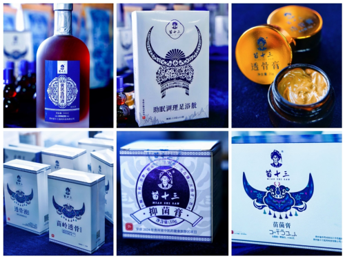 Kaiyun体育网站：贵州苗十三医药科技有限公司举办“千城万店·省级分公司招募盛典”引领民族医药千亿市场新布局(图6)