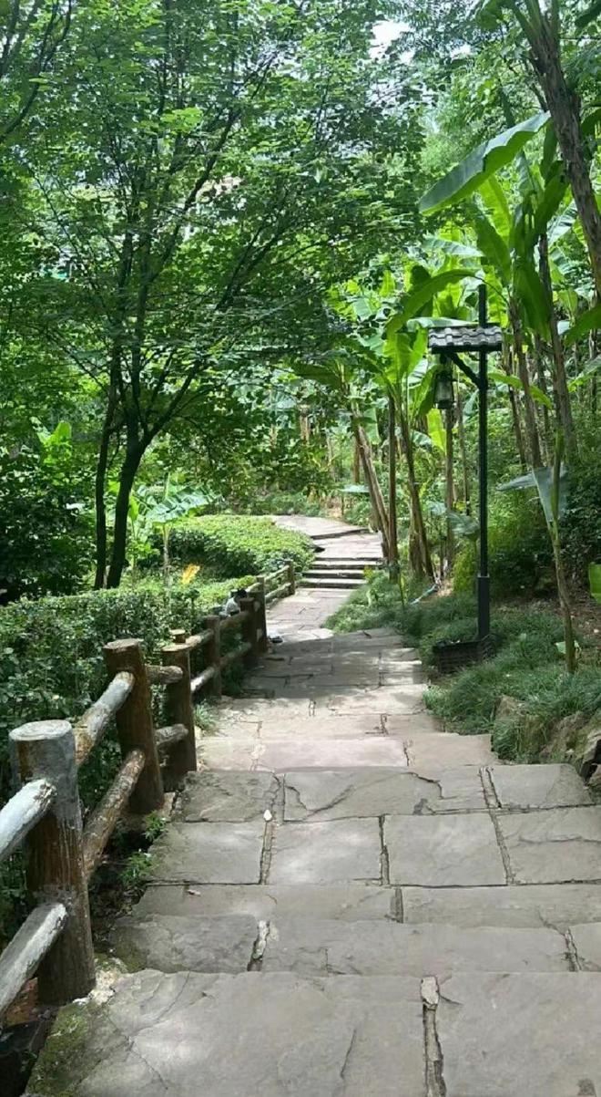 Kaiyun（中国体育）：龙泉山徒步宝藏路线邀你赴一场春日之约(图1)