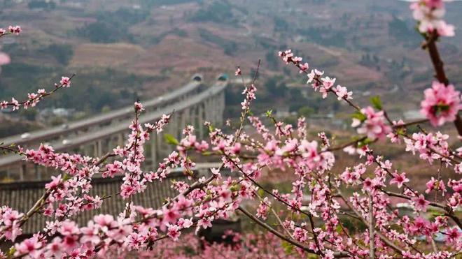 Kaiyun（中国体育）：龙泉山徒步宝藏路线邀你赴一场春日之约(图10)