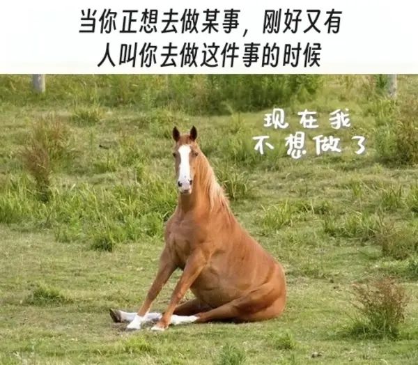 Kaiyun体育网站：轻松一刻：某时尚品牌新款感觉在中国不太好卖(图21)