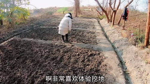 Kaiyun体育网站：荒地可以干什么(图1)