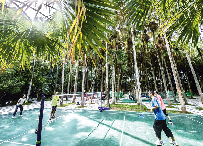 活力加倍美丽公园变成“家门口的健身房”(图1)