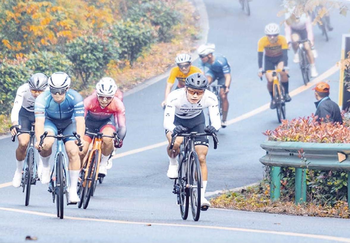 日前安徽省公布2024年省级体育彩票公益金安排使用情况彰显社会责任和公益使命(图2)