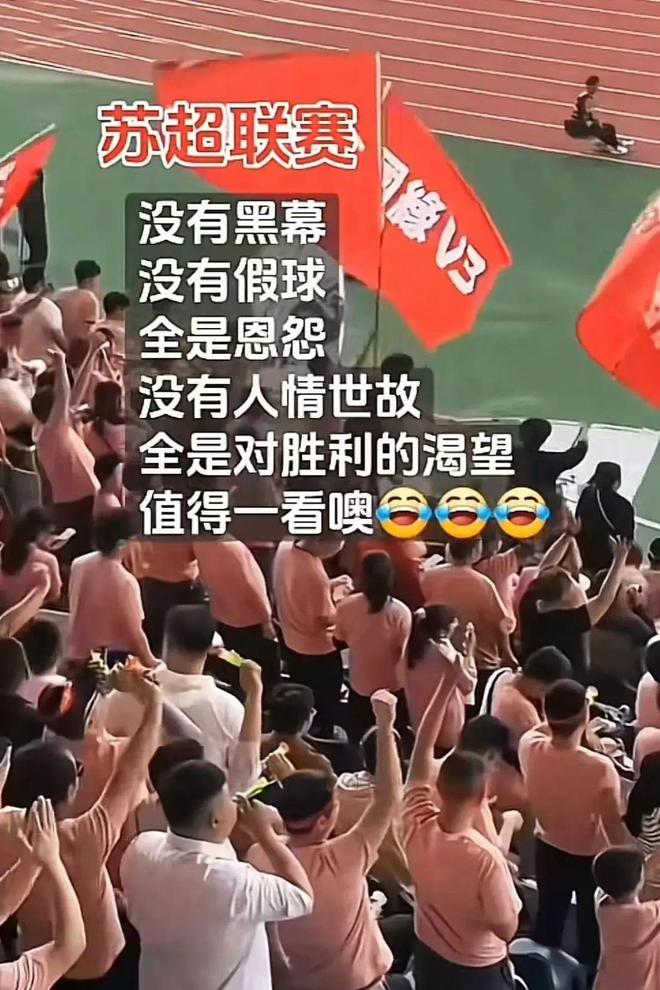 江苏“十三太保”大乱斗为何比欧洲杯还上头？(图14)