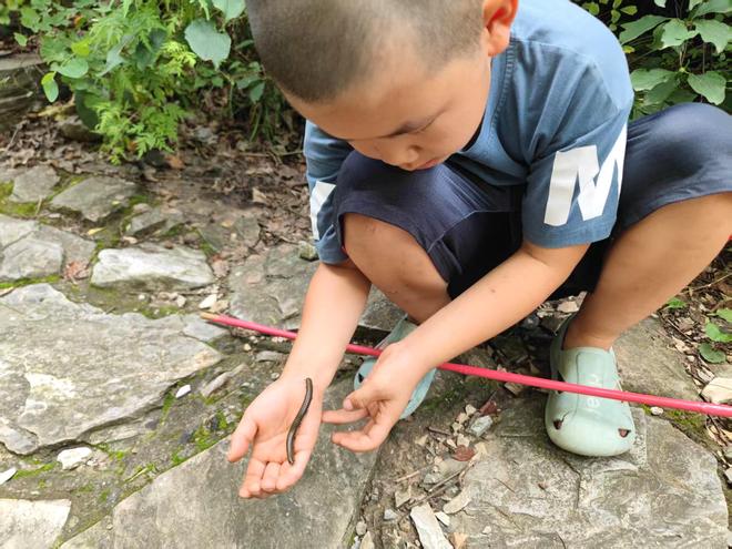 Kaiyun（中国体育）：北京99%人不知道的徒步线路小众登山步道野趣十足(图3)