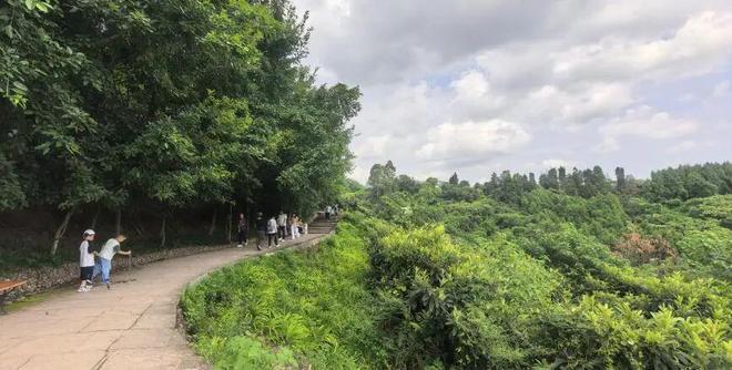 人少景美！龙泉驿这条小众徒步路线必打卡→(图3)