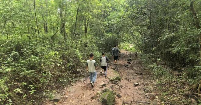 人少景美！龙泉驿这条小众徒步路线必打卡→(图5)