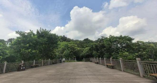 人少景美！龙泉驿这条小众徒步路线必打卡→(图6)