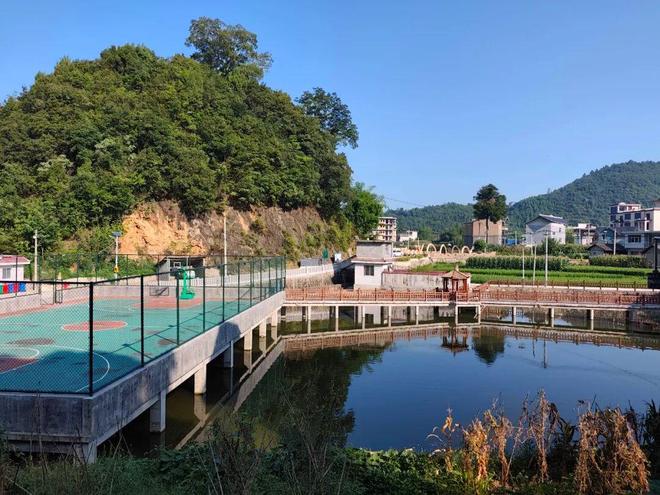 一年蝶变：下五龙迎发展高光时刻(图7)